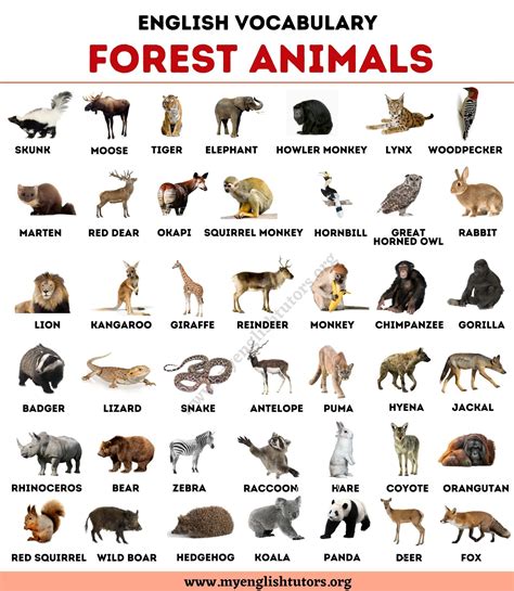 What animal only has 50 left?